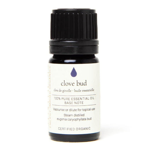 Clove Bud Certified Organic Essential Oil - 5ml - Synthesis Organics