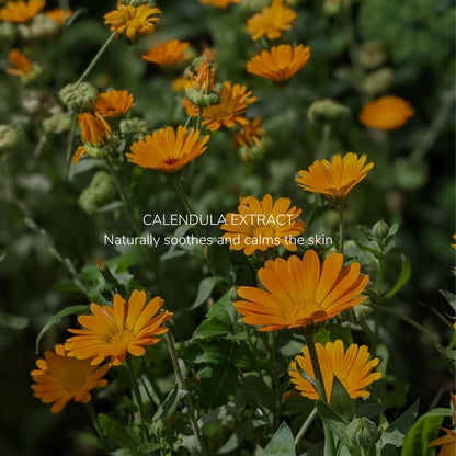 Rest & Restore Liposomal Magnesium Spray - 100ml - Synthesis Organics