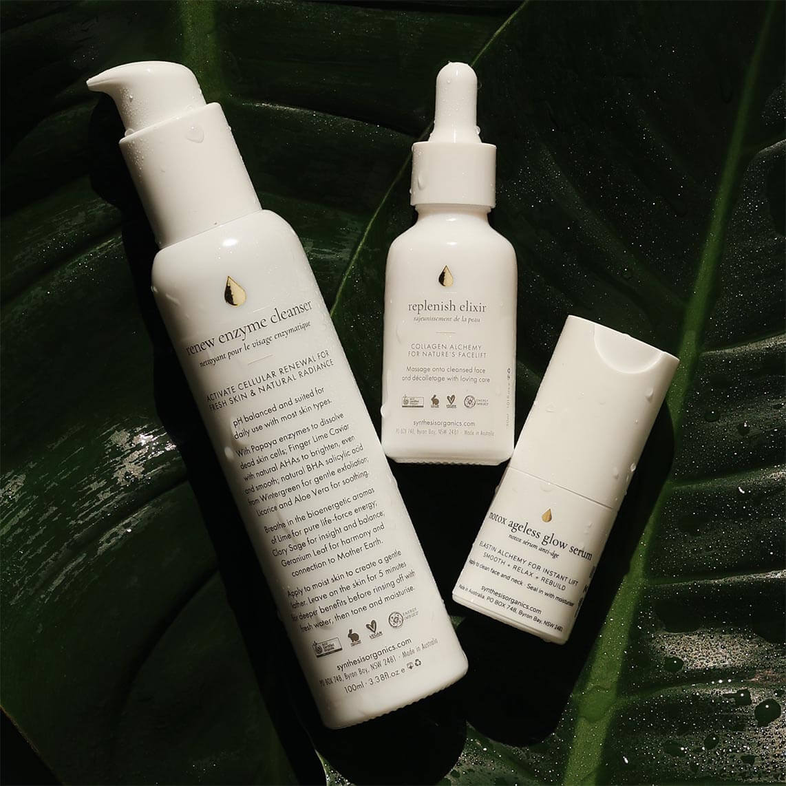 Skin Longevity Essentials - Synthesis Organics